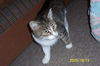 Abby