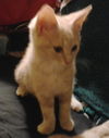 George