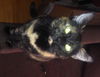Rosalind