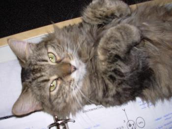 Fluffie