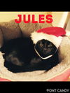 Jules-Baby