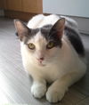 Baby-Belle