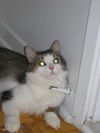 Katie