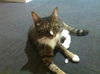 Jessy