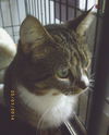 Jessy