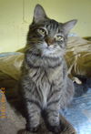 Eloise