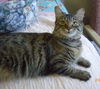 Eloise