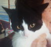 Emilie
