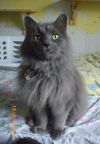 Juliette-2