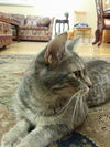 Filomena