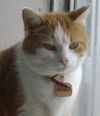 Oliver