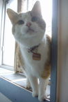 Oliver
