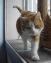 Oliver