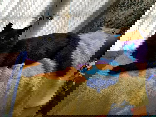 Binx