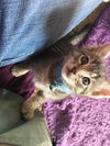 Winston