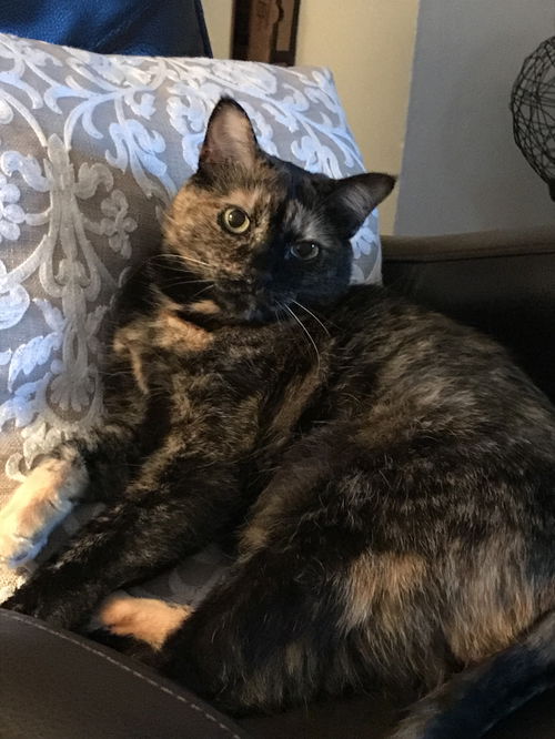 Chloe