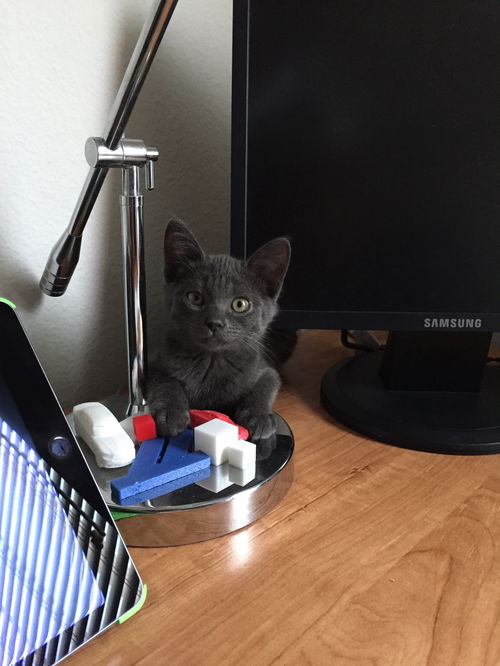 Jolie