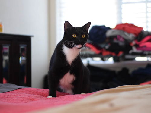 Benny