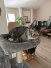 Josie - Photo 1