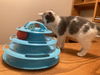 Catsby