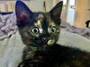 Freida