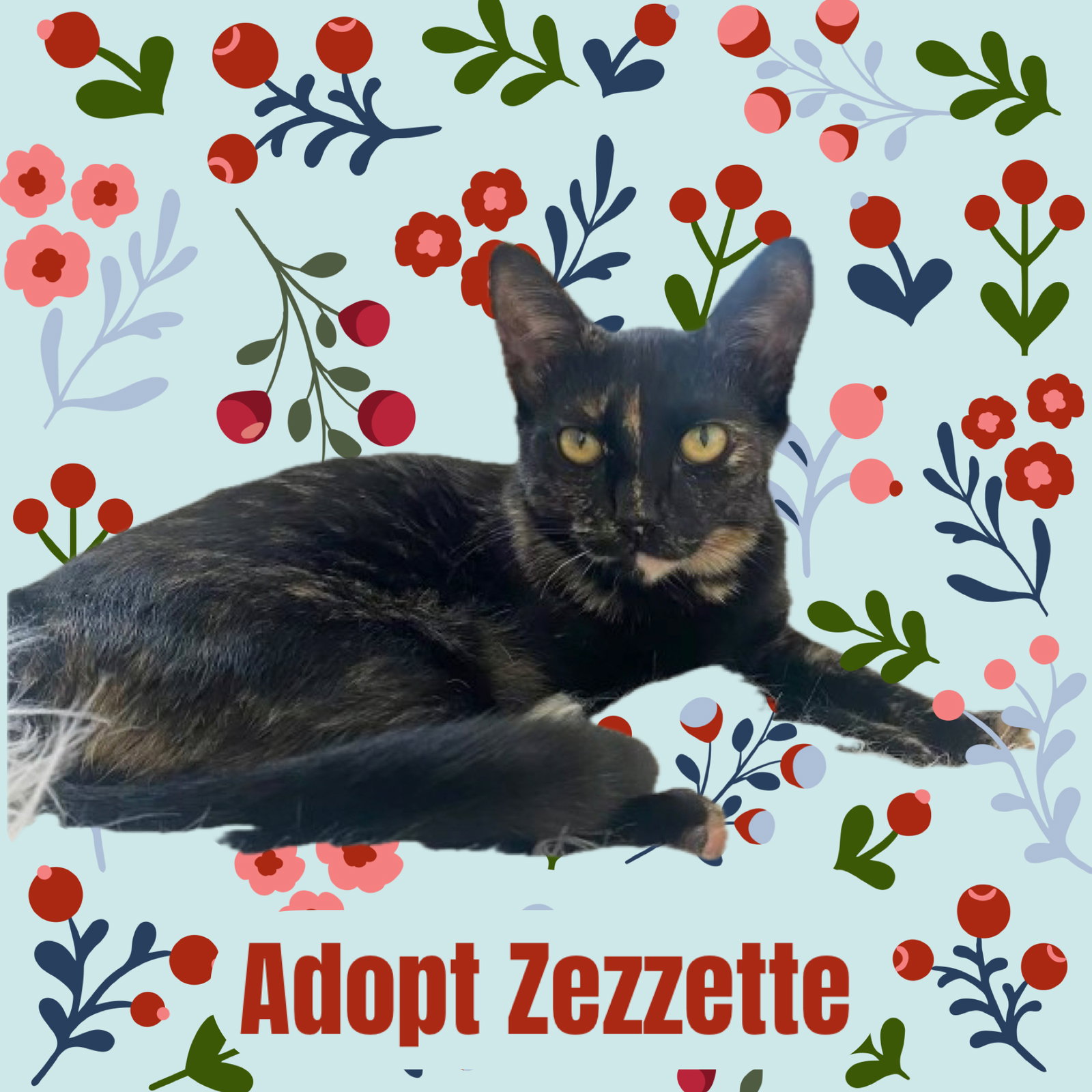 Zezzette Image