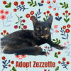 Zezzette - Photo 1