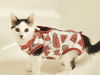 Dottie