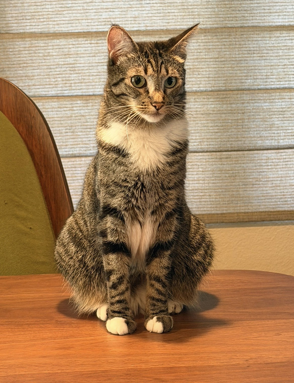 Eloise