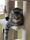 Kash - Photo 3