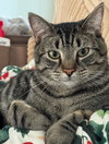Kash - Photo 1