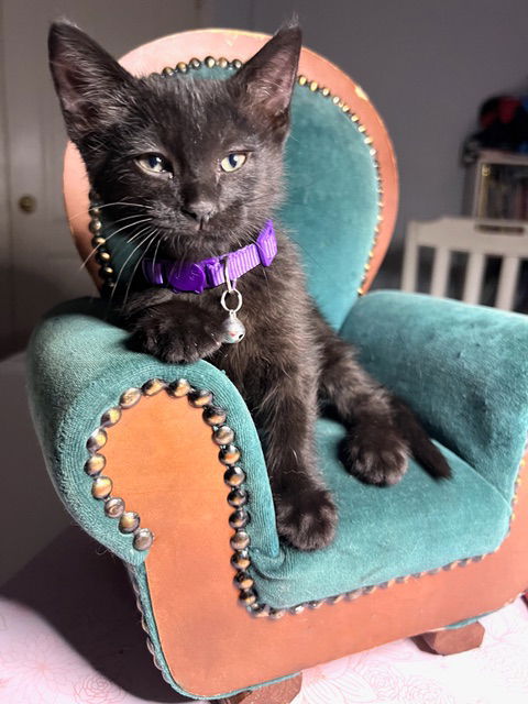 Ube