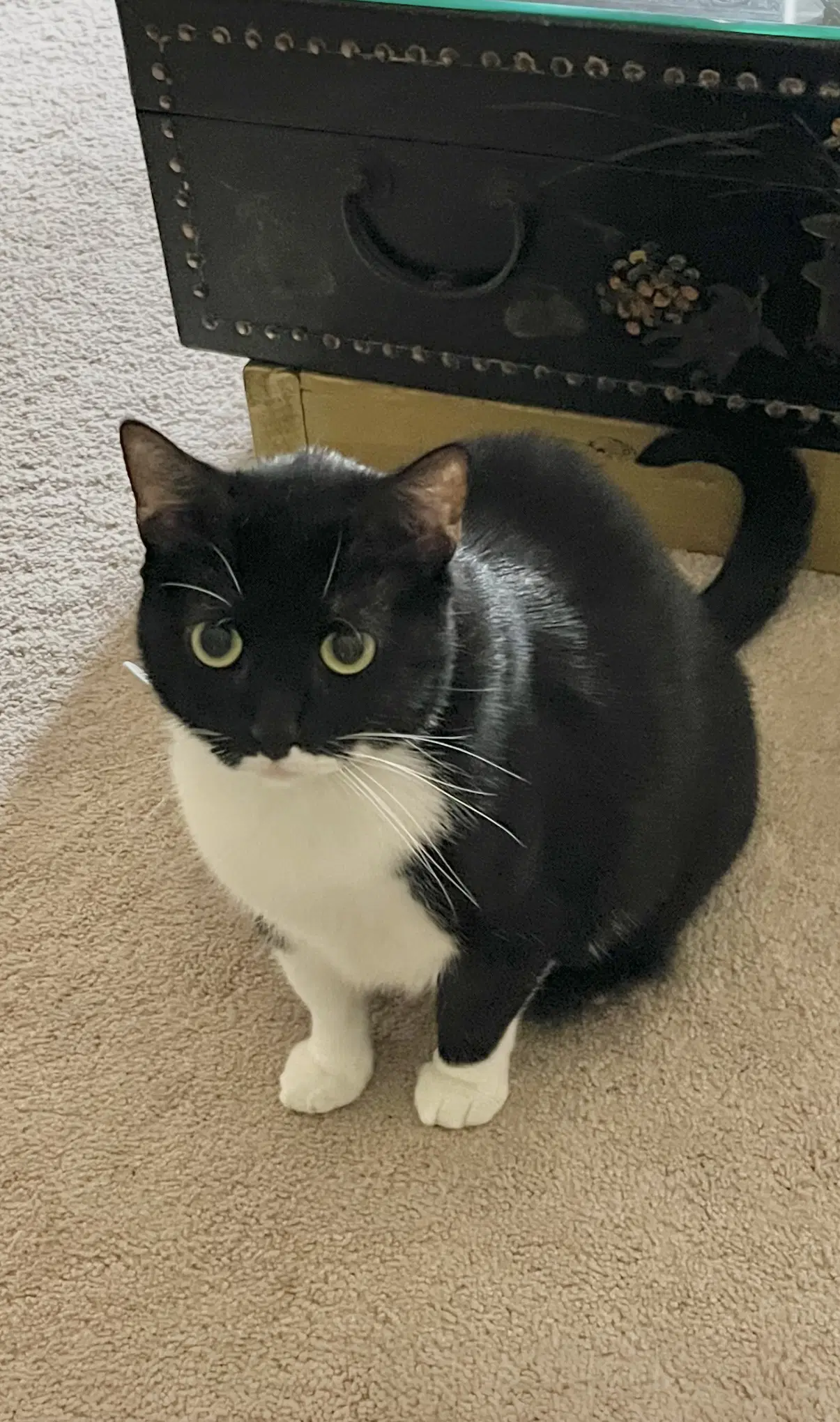 Johnny Billy-Courtesy Post - Tuxedo