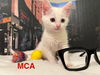 MCA