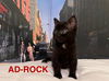 Ad-Rock
