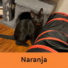Naranja