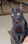 Naranja - Photo 1