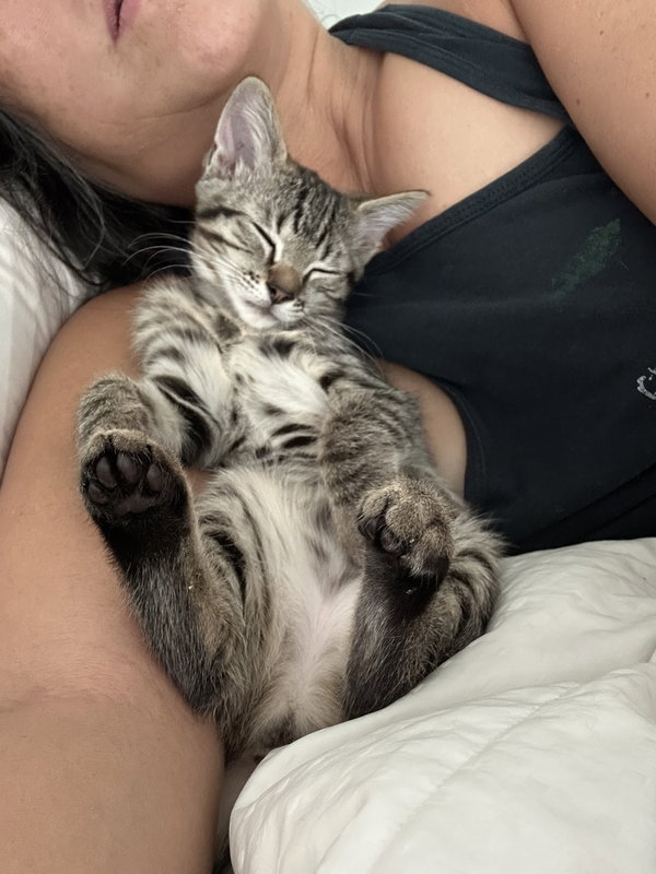 Gremlin