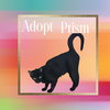 Prism - Photo 3