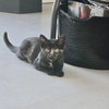 Gigabyte - Photo 2