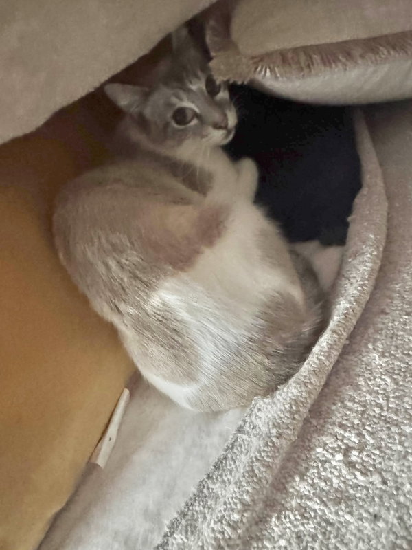 Missy courtesy post