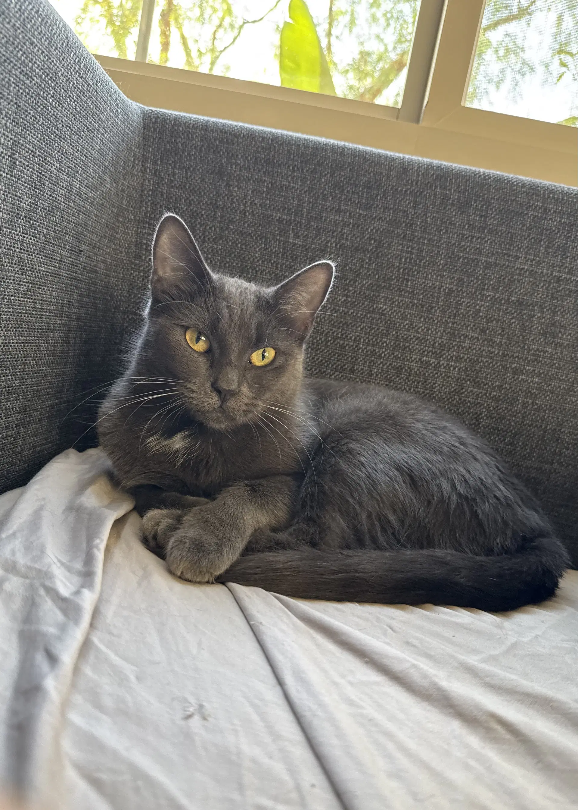 Kiki image 1