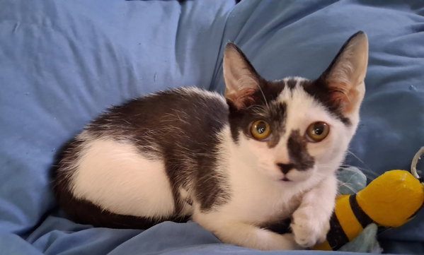 Marble courtesy post