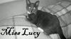 Lucy