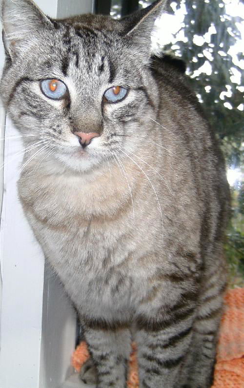Frederick