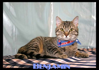 Benjamin