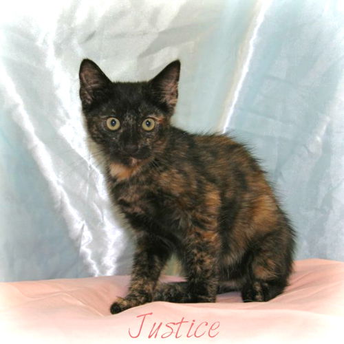 Justice