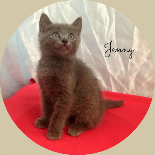 Jenny