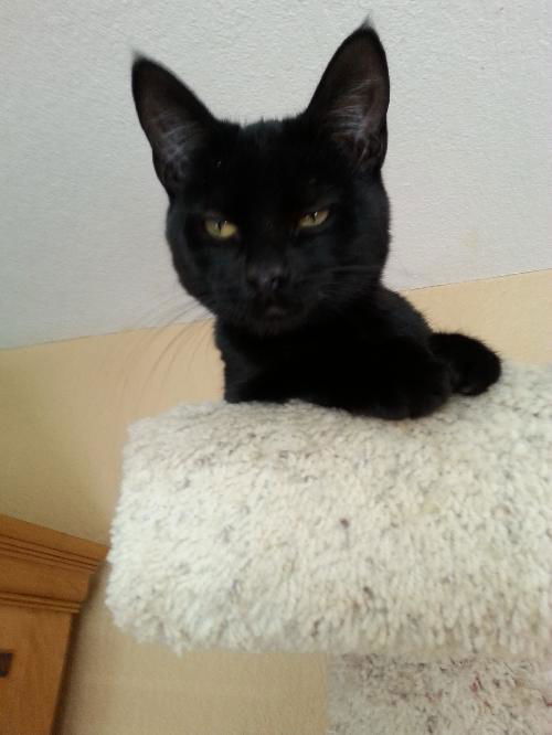 Luna