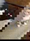 Winnie